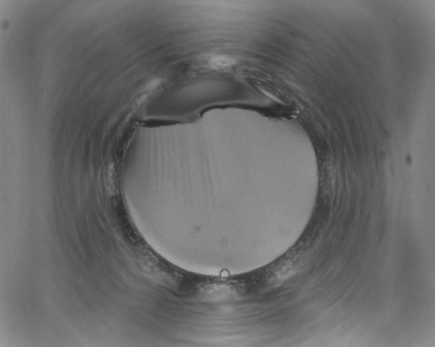 X0000067350224200604281450