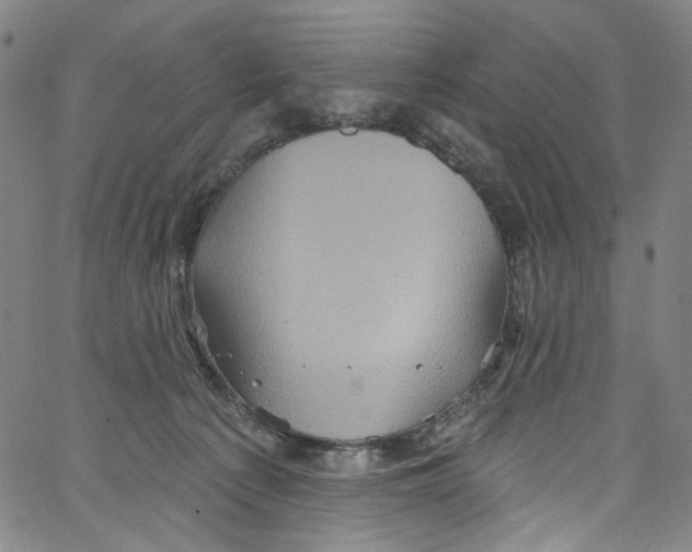 X0000067350225200604281450