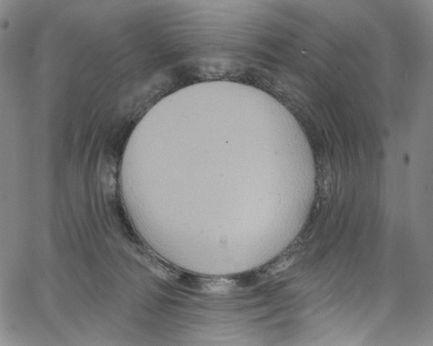 X0000067350226200604281450