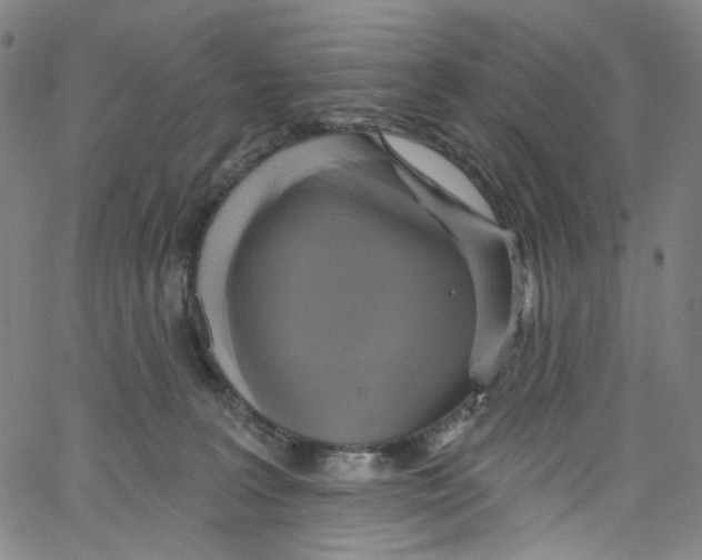 X0000067350227200604281450