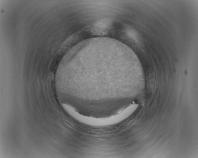 X0000067350229200604281450