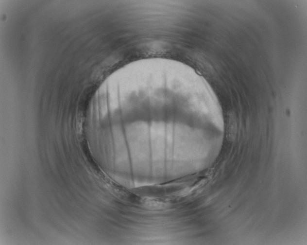 X0000067350230200604281450