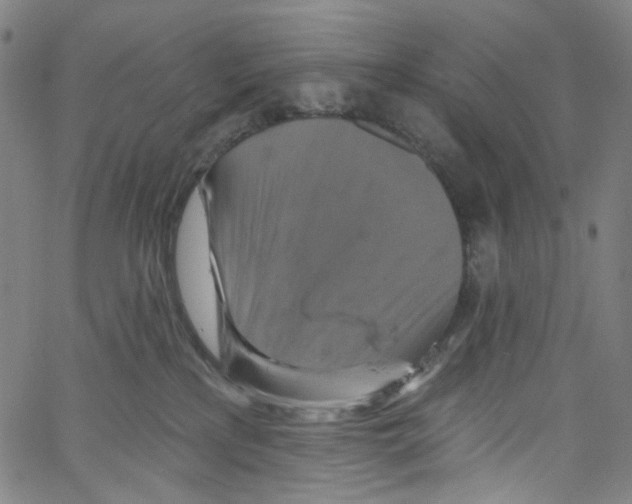 X0000067350233200604281450