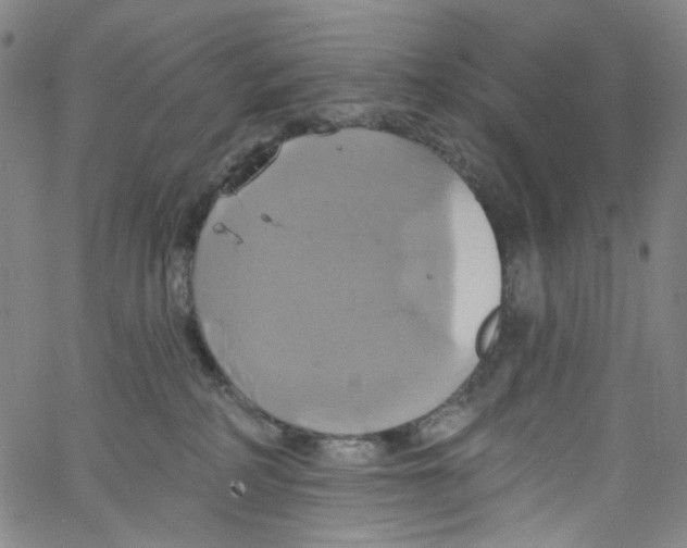 X0000067350234200604281450