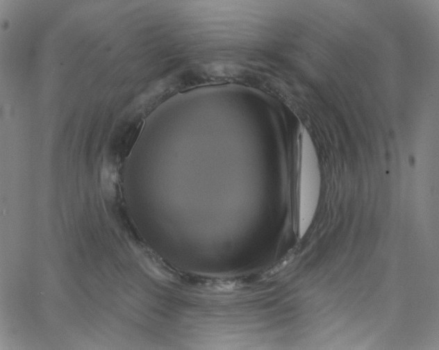 X0000067350235200604281450