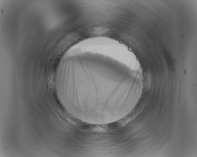 X0000067350236200604281450