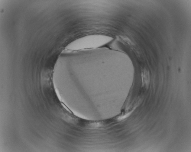 X0000067350237200604281450