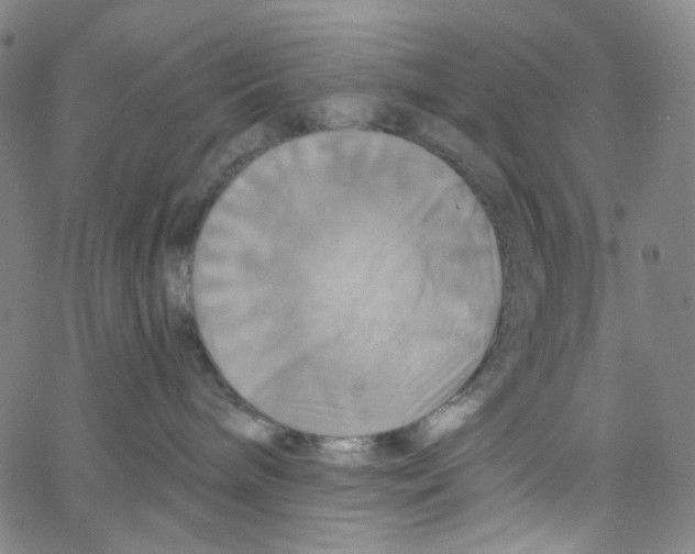 X0000067350240200604281450