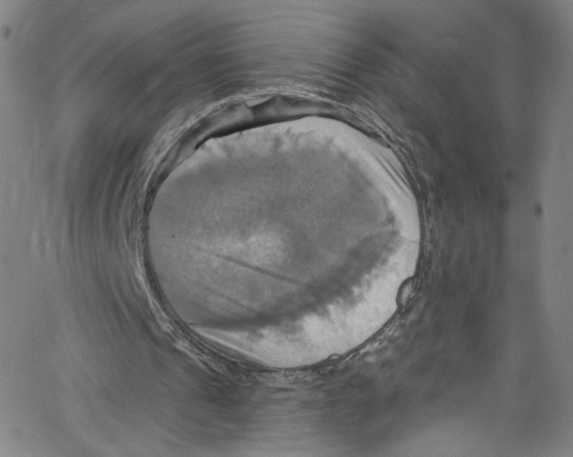 X0000067350241200604281449