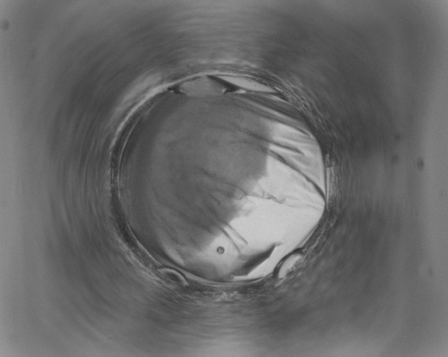 X0000067350243200604281449