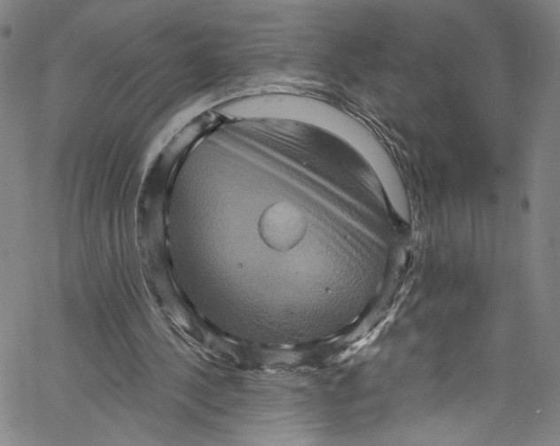 X0000067350244200604281449