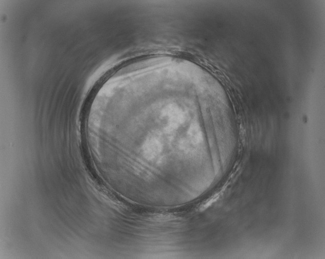 X0000067350246200604281449