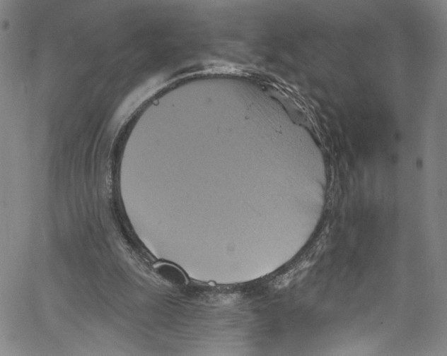 X0000067350247200604281449