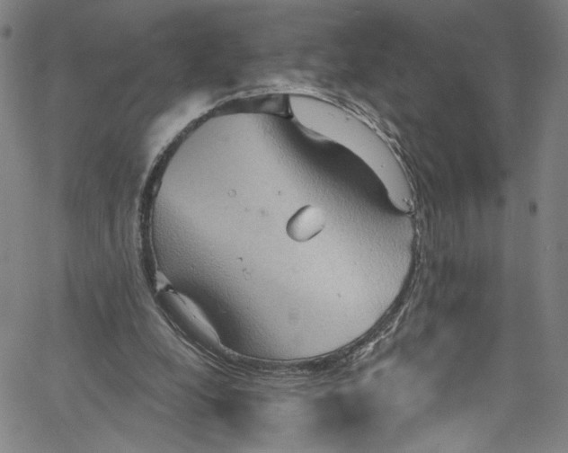 X0000067350248200604281449