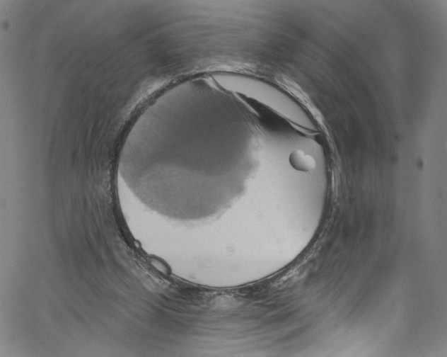 X0000067350249200604281449