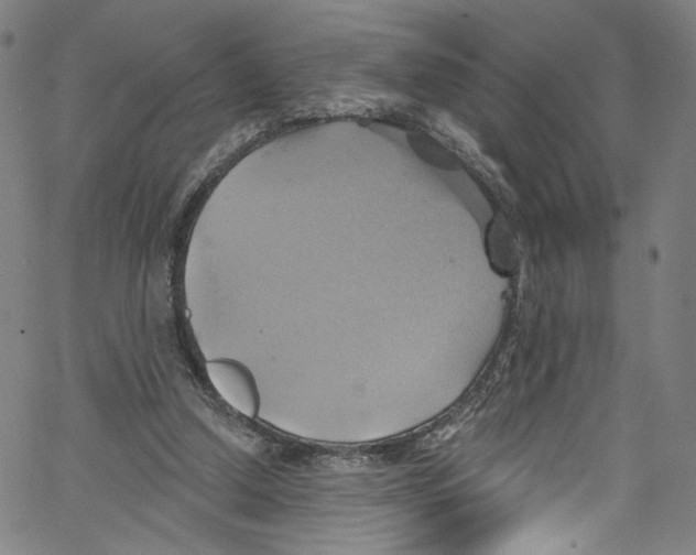 X0000067350250200604281449