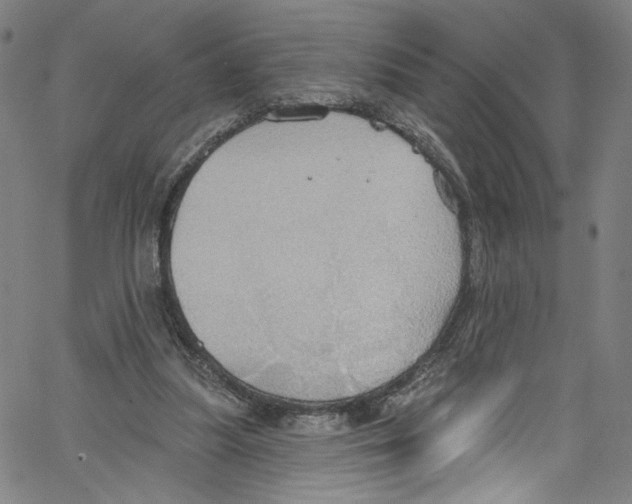 X0000067350251200604281449