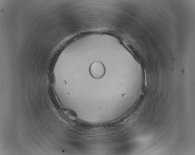 X0000067350252200604281449