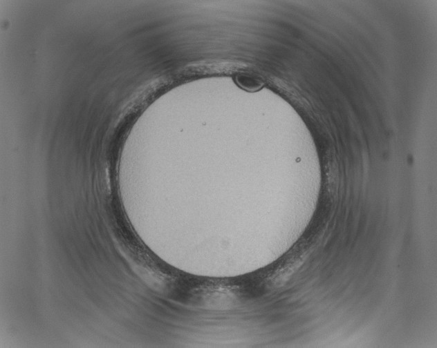 X0000067350254200604281449