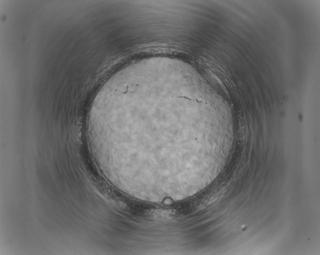 X0000067350255200604281449