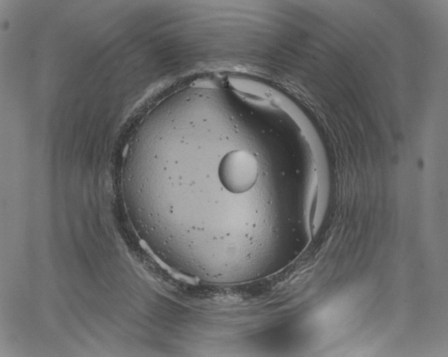 X0000067350256200604281449