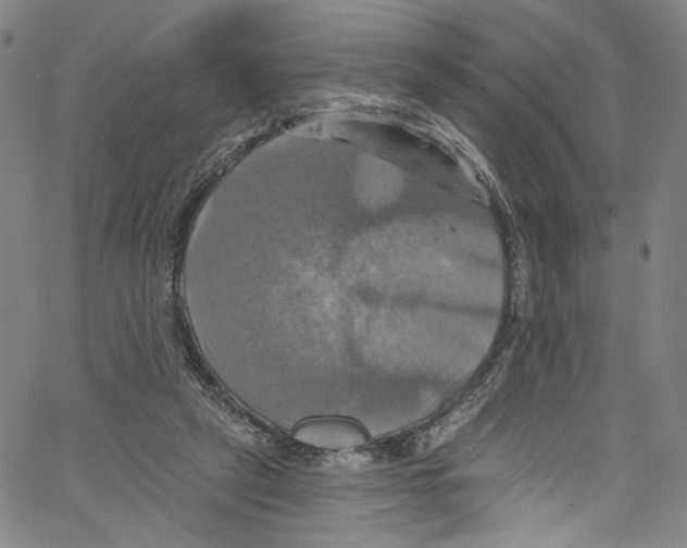 X0000067350257200604281449