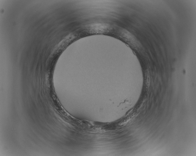 X0000067350258200604281449