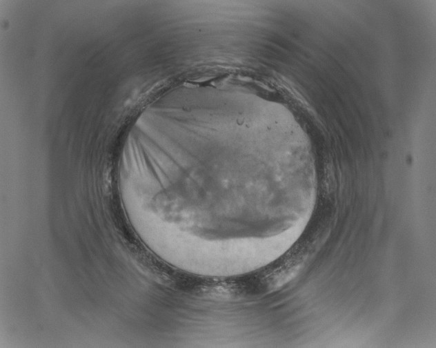 X0000067350259200604281449