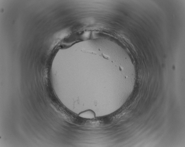 X0000067350260200604281449