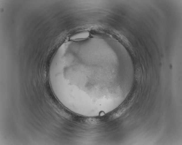 X0000067350261200604281449