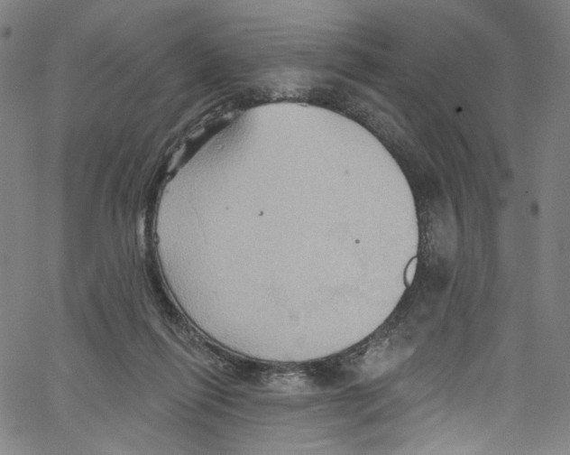 X0000067350262200604281449