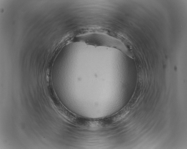 X0000067350264200604281449