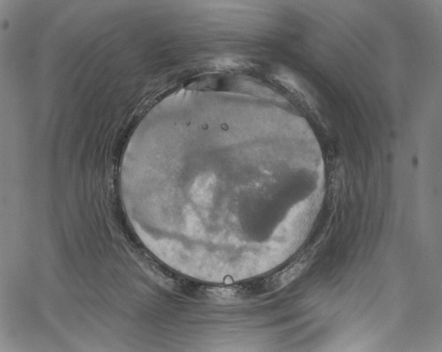 X0000067350265200604281449