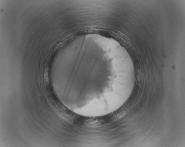 X0000067350267200604281449