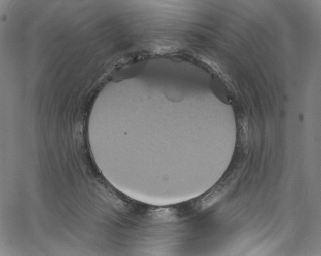 X0000067350269200604281449