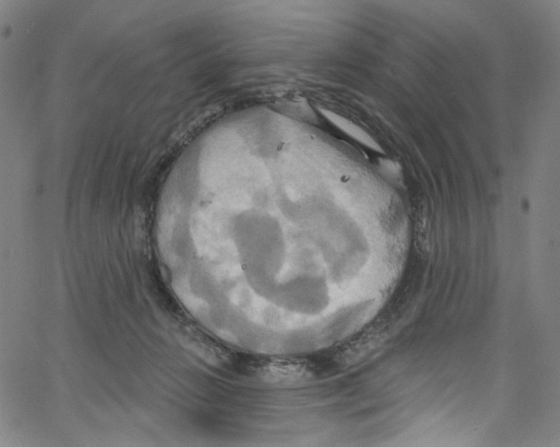 X0000067350270200604281449