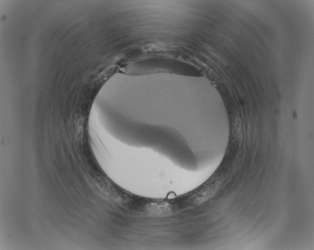 X0000067350271200604281449