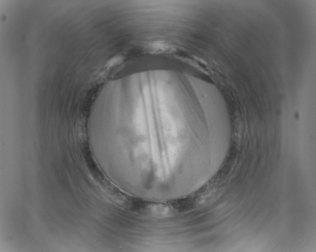 X0000067350272200604281449