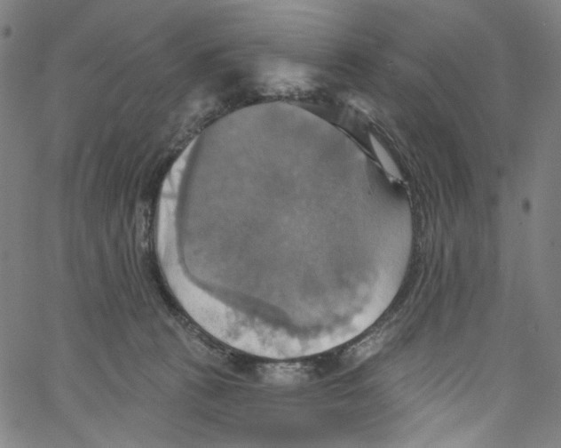 X0000067350273200604281449