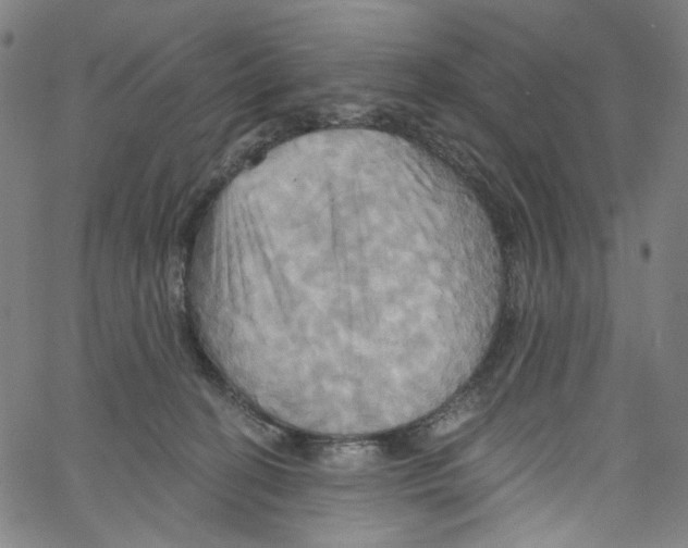 X0000067350274200604281449