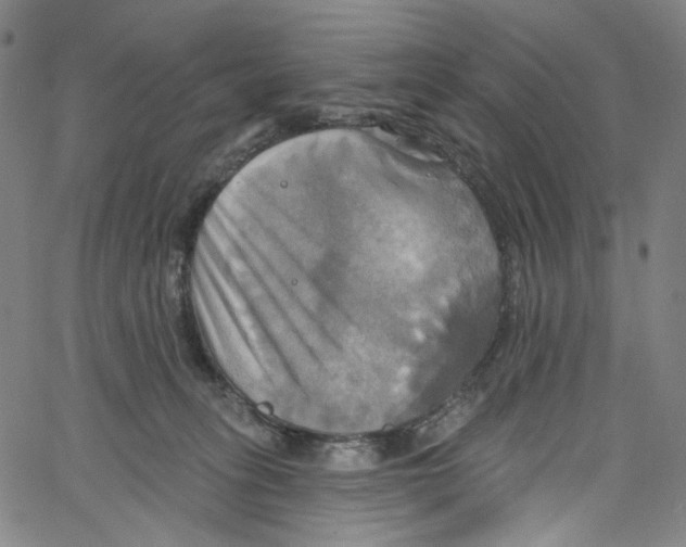 X0000067350275200604281449