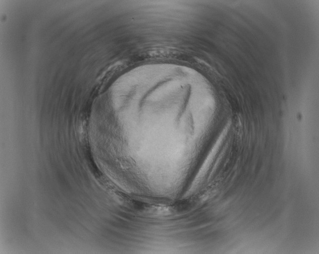 X0000067350276200604281450