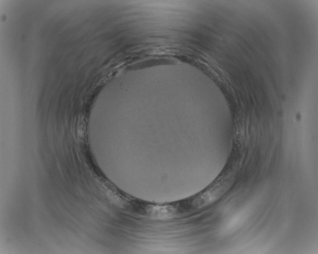 X0000067350277200604281450