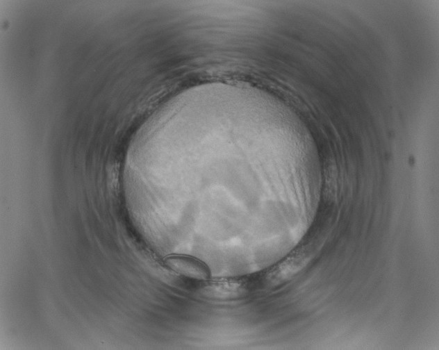 X0000067350278200604281450