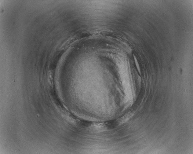 X0000067350280200604281450