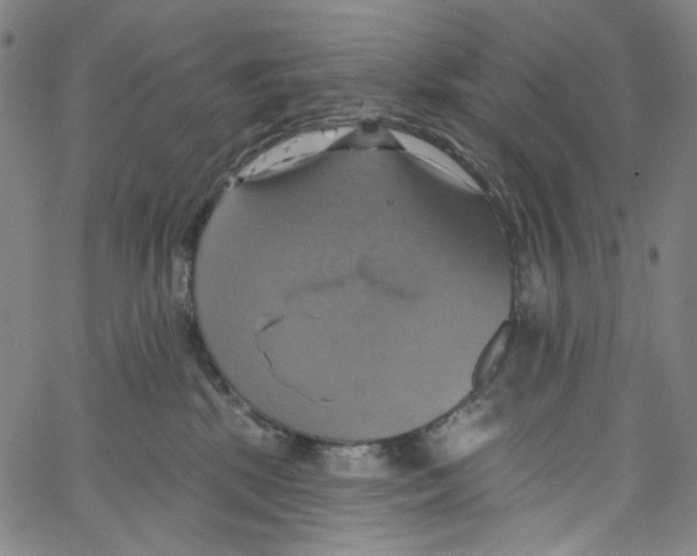 X0000067350281200604281450