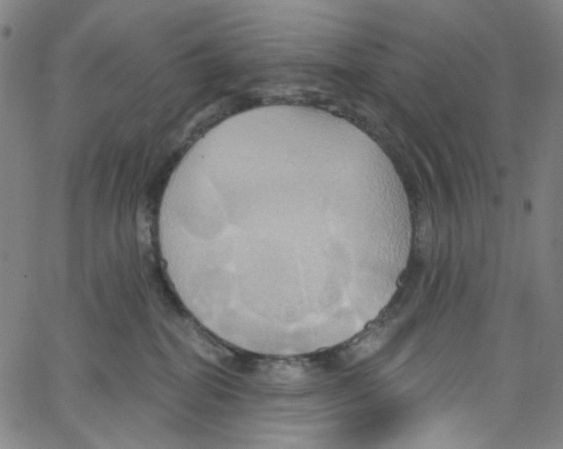 X0000067350282200604281450