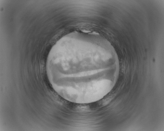 X0000067350283200604281450