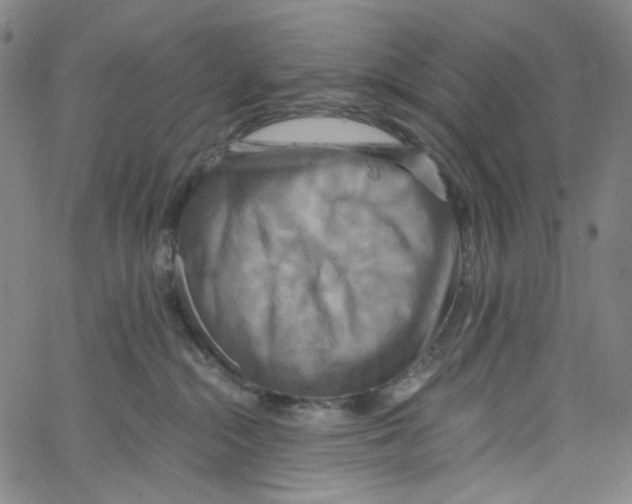 X0000067350284200604281450