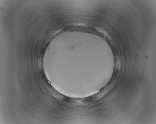 X0000067350285200604281450